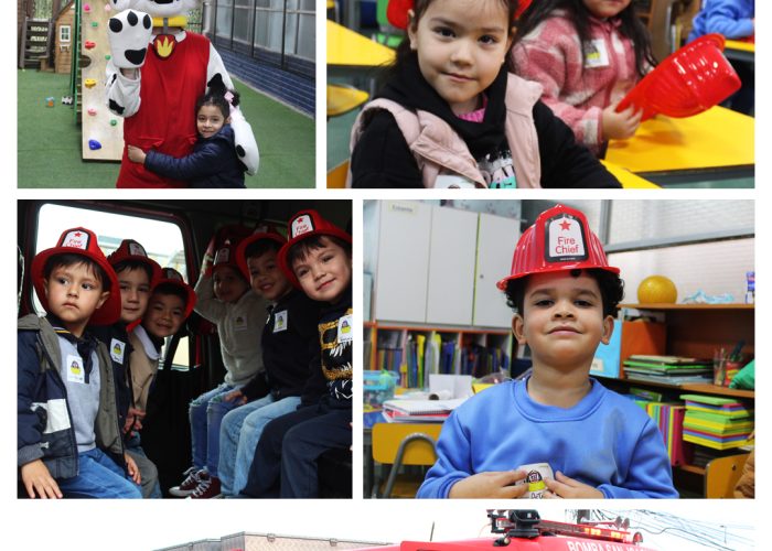 COLLAGE bomberos