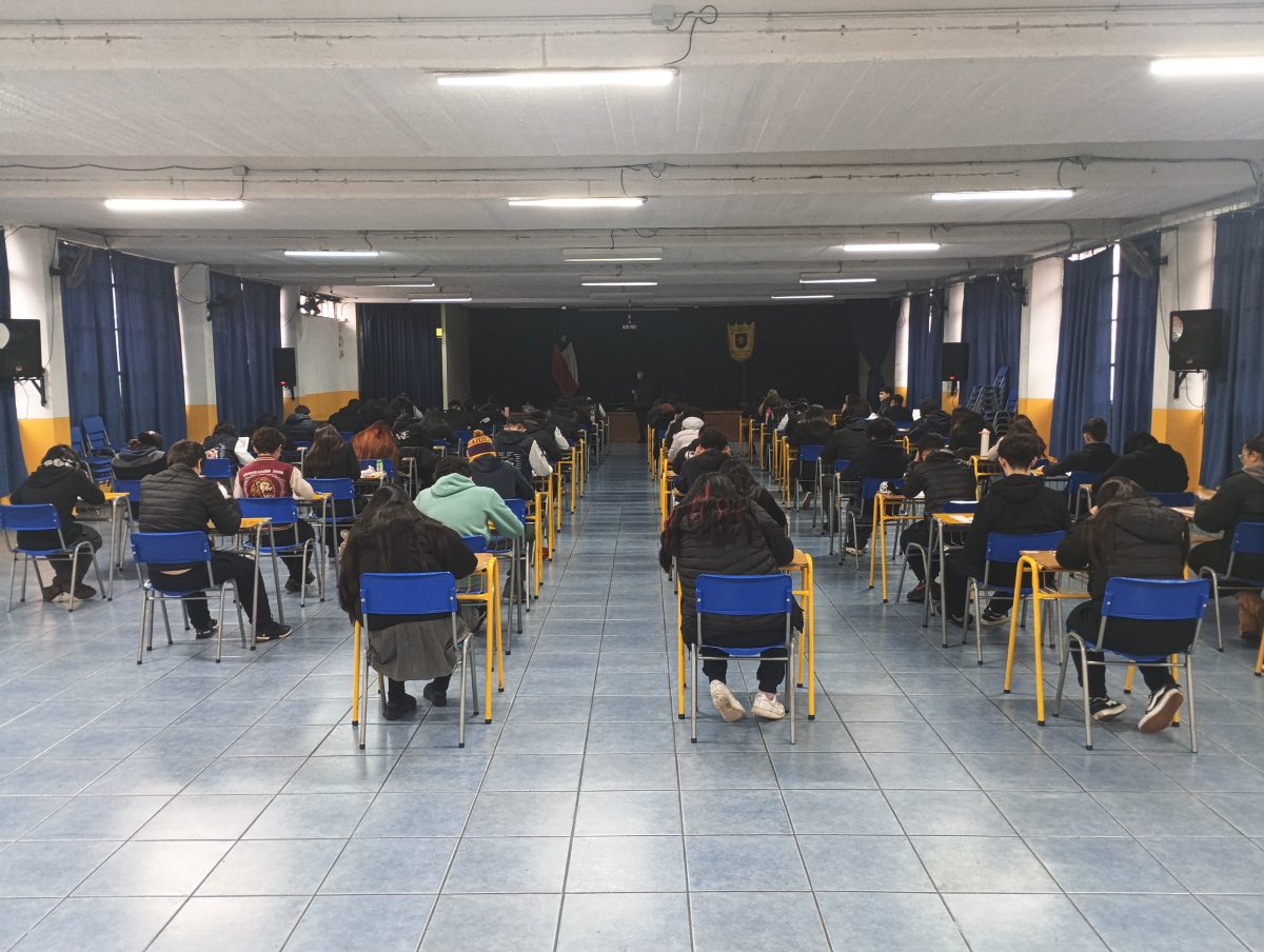 ENSAYO PAES 