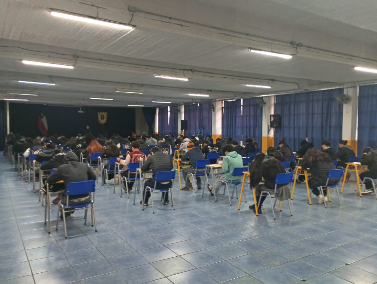 ENSAYO PAES 