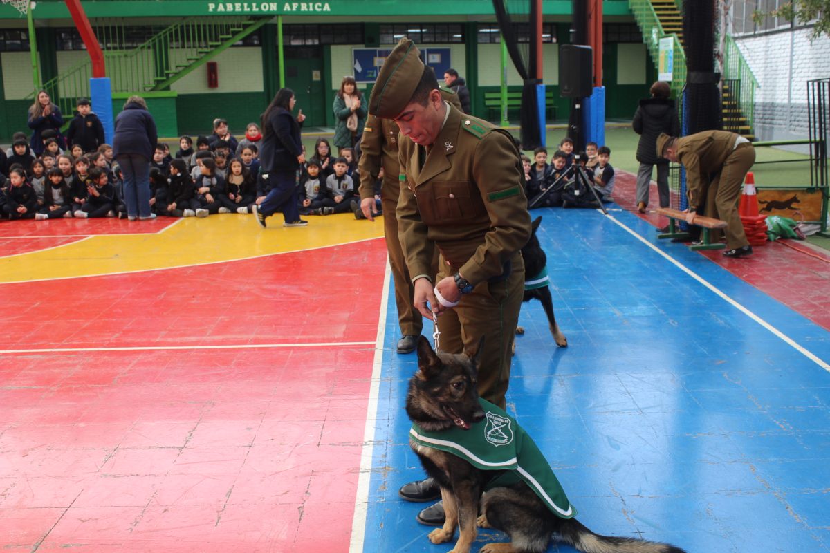 GRUPO CANINO DE CARABINEROS