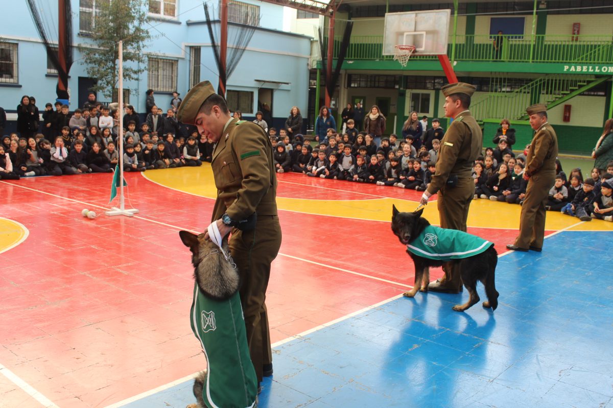 GRUPO CANINO DE CARABINEROS