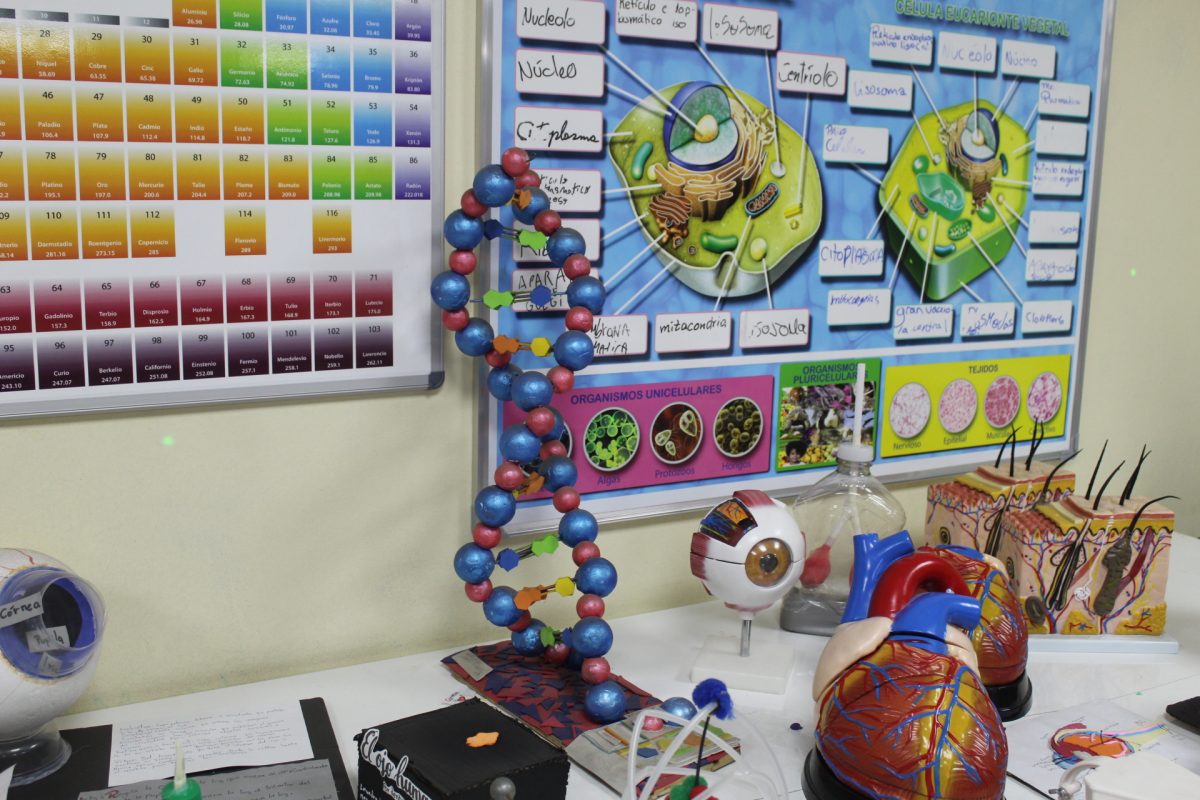 SEMANA DE LA CIENCIA