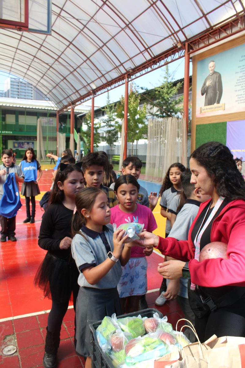 Dia de la actividad Física