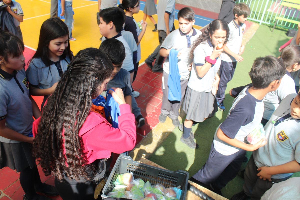 Dia de la actividad Física