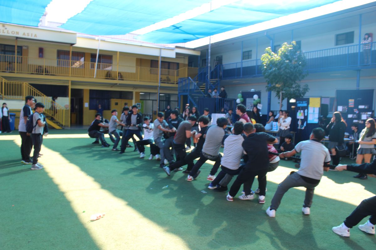 Dia de la actividad Física
