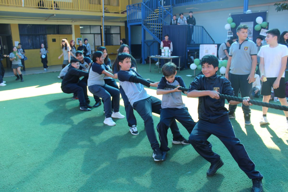 Dia de la actividad Física