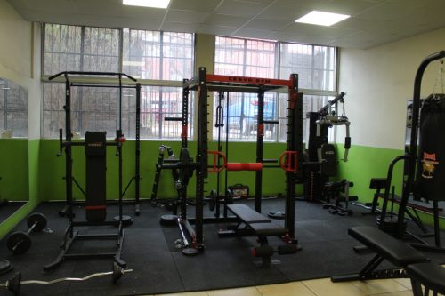 Gym CESVD