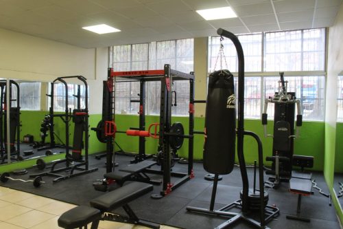 GYM CESVD