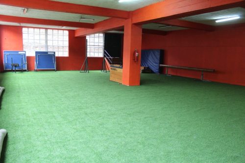 Gimnasio 2